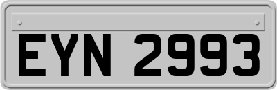 EYN2993