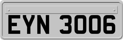 EYN3006