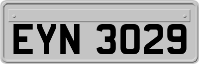 EYN3029