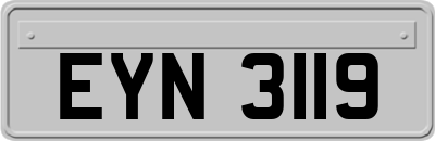 EYN3119
