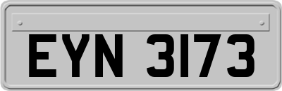 EYN3173