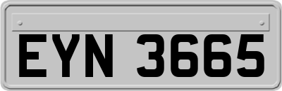 EYN3665
