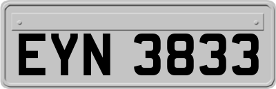 EYN3833