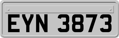 EYN3873