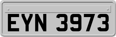 EYN3973