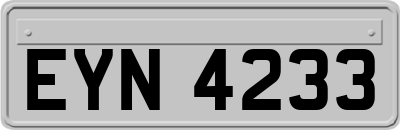EYN4233