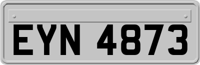 EYN4873
