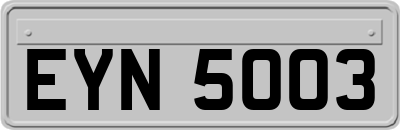 EYN5003