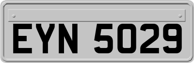 EYN5029