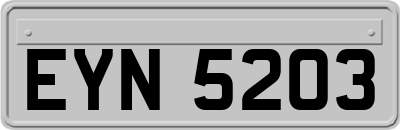 EYN5203