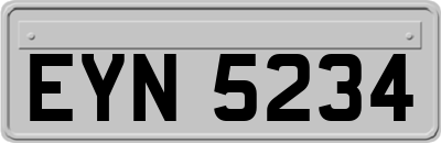 EYN5234