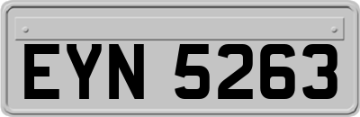 EYN5263