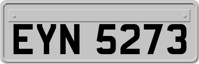 EYN5273