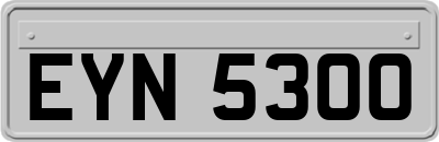 EYN5300