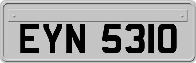 EYN5310