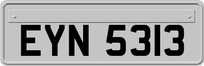 EYN5313