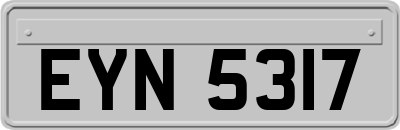 EYN5317