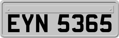 EYN5365