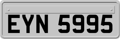 EYN5995