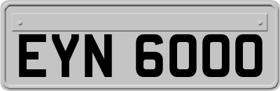 EYN6000