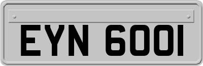 EYN6001