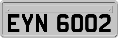 EYN6002
