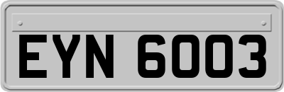 EYN6003