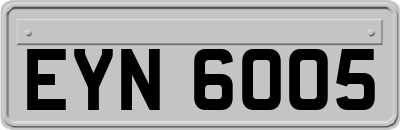 EYN6005