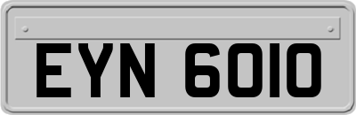 EYN6010