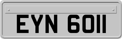 EYN6011