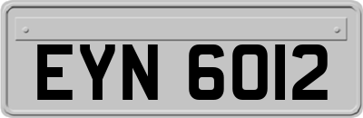 EYN6012