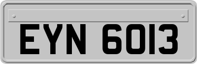 EYN6013