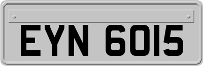EYN6015