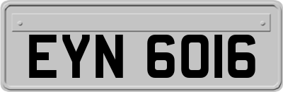 EYN6016