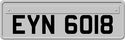 EYN6018