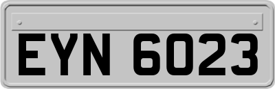 EYN6023