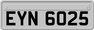 EYN6025