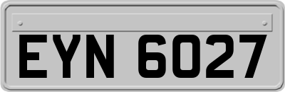 EYN6027