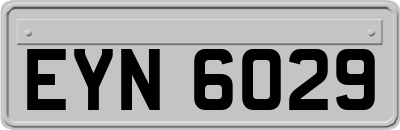 EYN6029