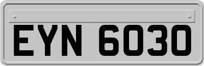 EYN6030