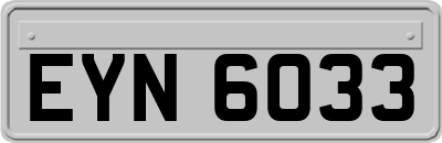 EYN6033