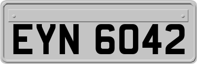EYN6042