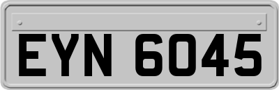 EYN6045