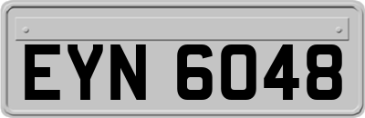 EYN6048