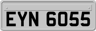 EYN6055