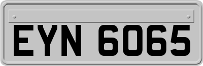 EYN6065