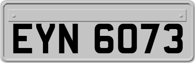 EYN6073