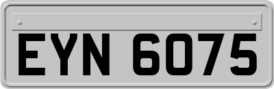 EYN6075