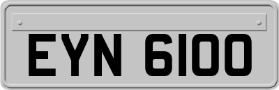 EYN6100