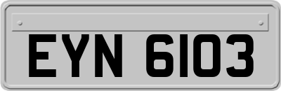 EYN6103